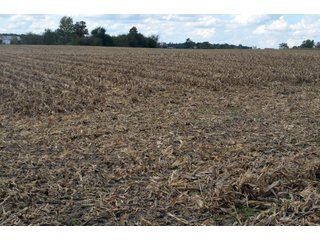 Property photo 122 - EHLE FARMS AUCTION - 118+/- ACRES IN 9 TRACTS IN ALLEN COUNTY, INDIANA